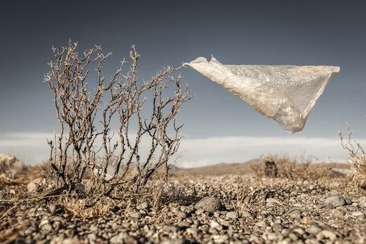 
	
	Túi nilon treo trên ngọn cây khô. Trông qua có vẻ đơn giản nhưng thực ra, tác giả muốn gửi gắm thông điệp rằng: Sử dụng túi nilon sẽ gây ảnh hưởng rất lớn đến môi trường.